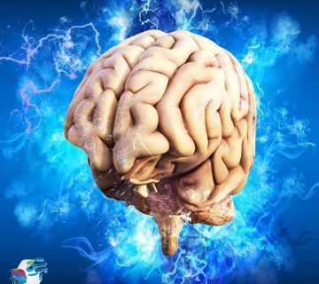 مفهوم مغز و تاب آوری هیجانی مفهوم مغز و تاب آوری هیجانی