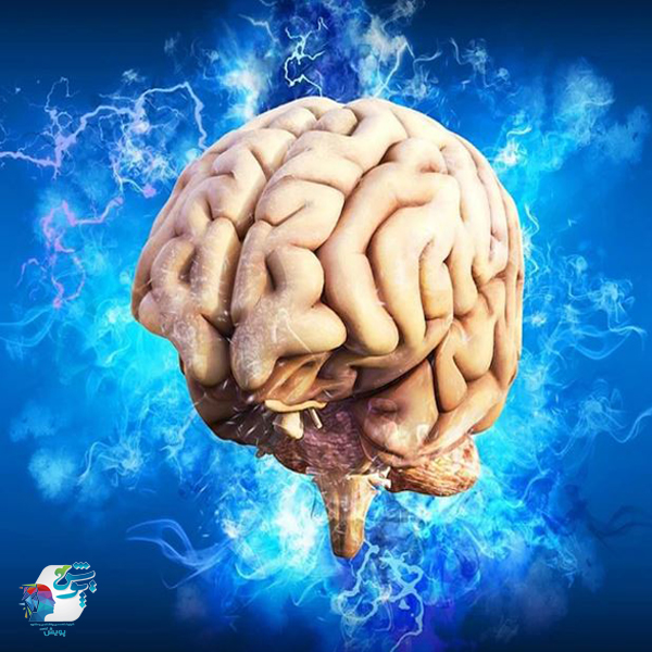 مفهوم مغز و تاب آوری هیجانی