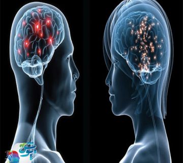 مغز، هیجان و رابطه