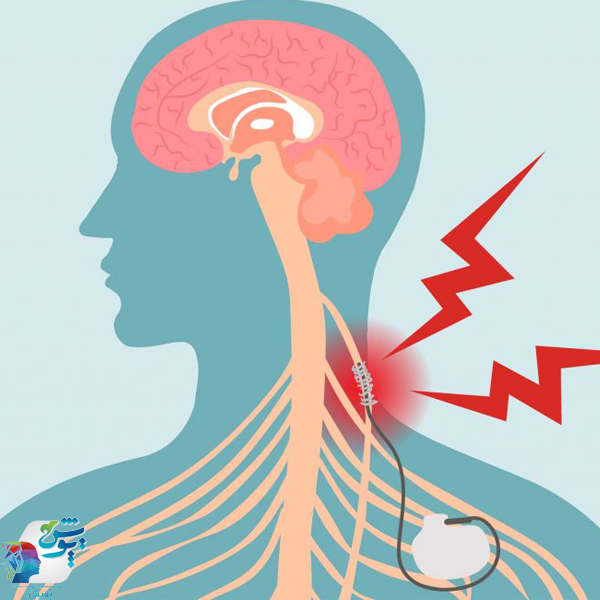 نقش عصب واگ در روابط انسانی 