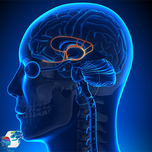 اضطراب مرتبط با آمیگدال